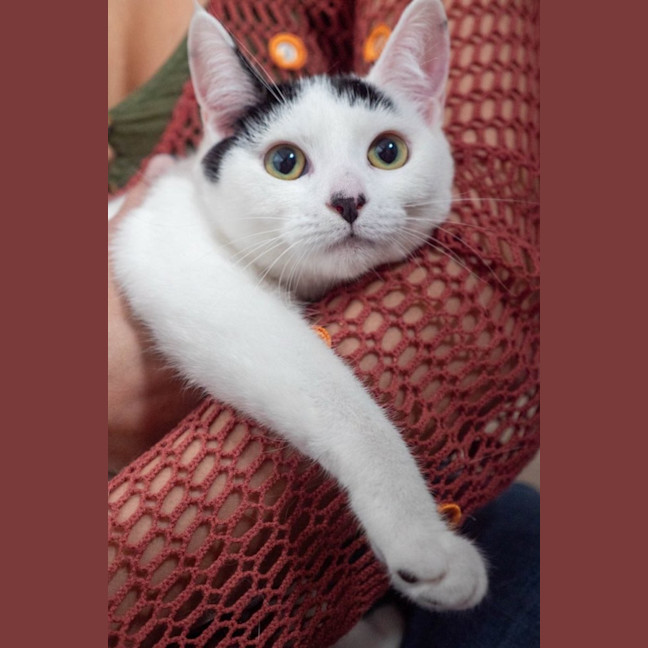 Photo of Penny & Essie 