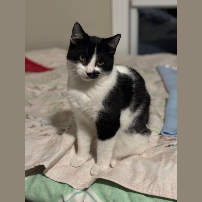 Photo of Hank & Halle