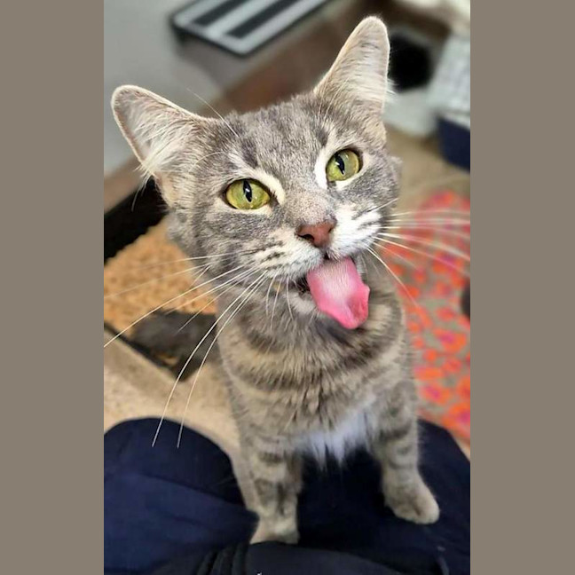 Photo of Momo