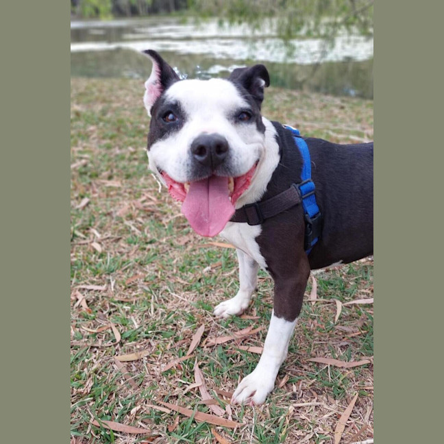 Photo of Roxy