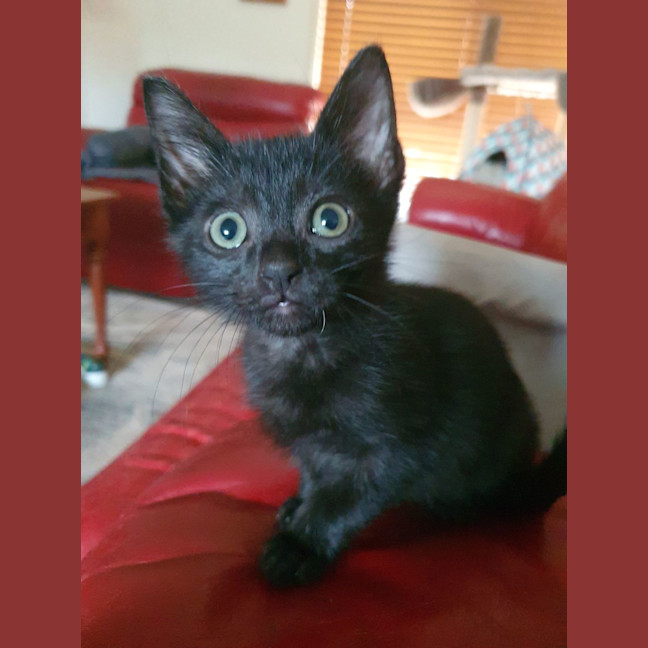 Photo of Zeke