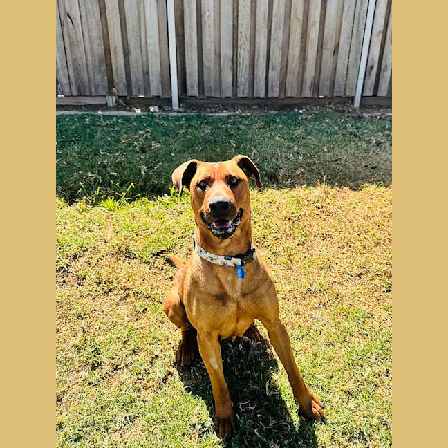 Photo of Belle
