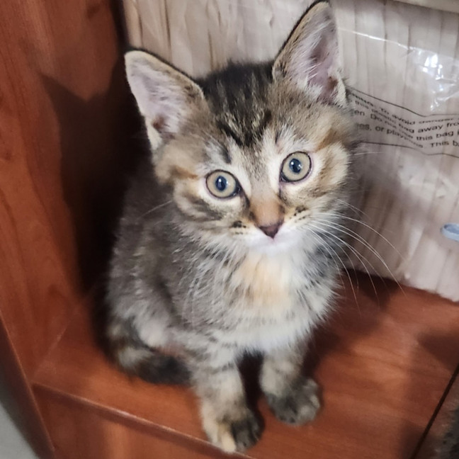Photo of Kiara