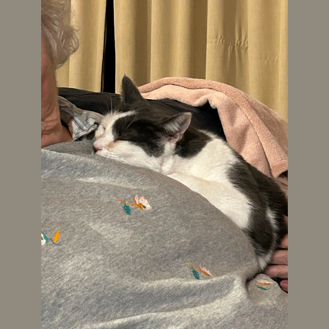 Photo of Cookie Mumma