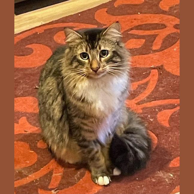 Photo of Percy