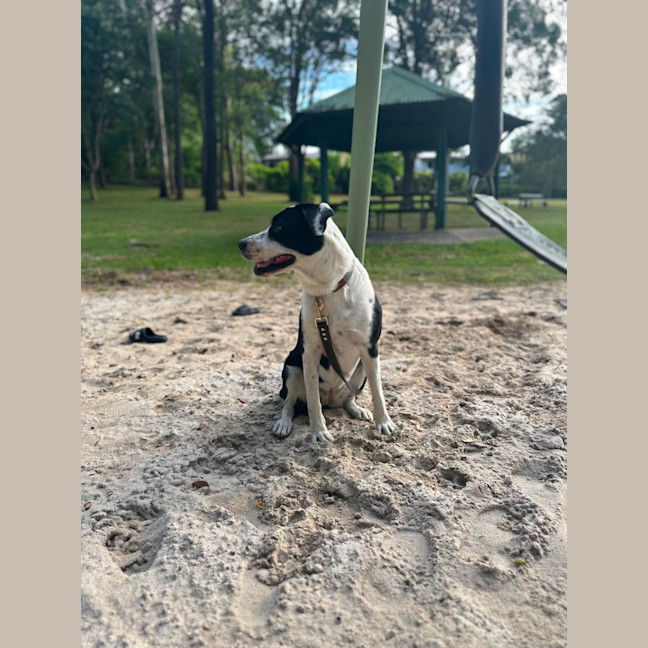 Photo of Tilly