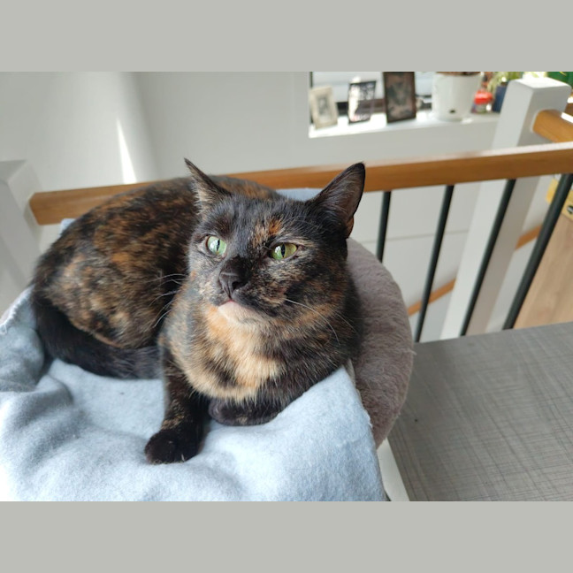 Photo of Hera