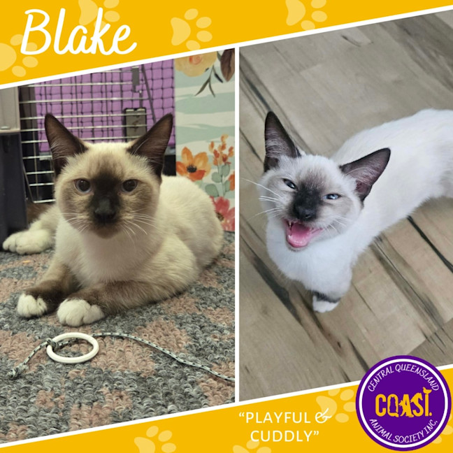 Photo of Blake
