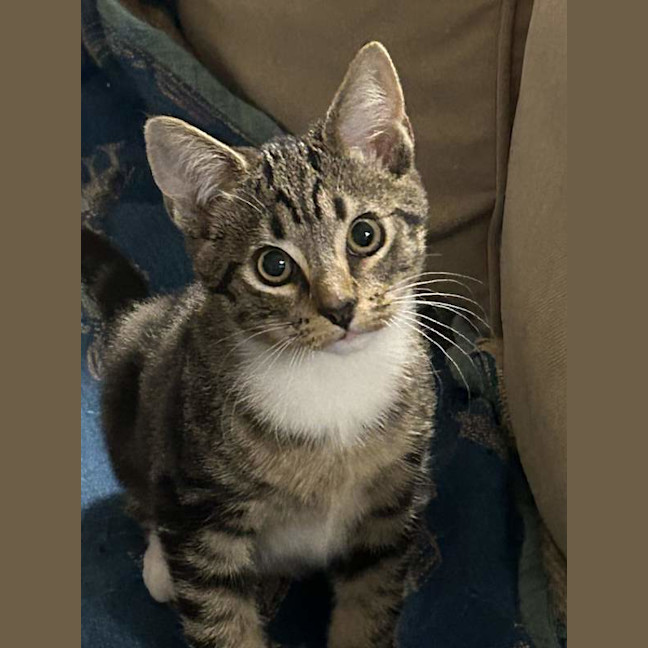 Photo of Monty
