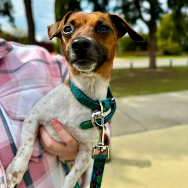 Photo of Gary And Willow 