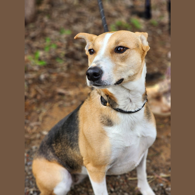 Photo of 🌼 Daisy 6367 🌼