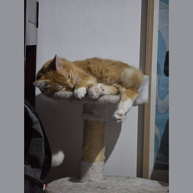 Photo of Faramir