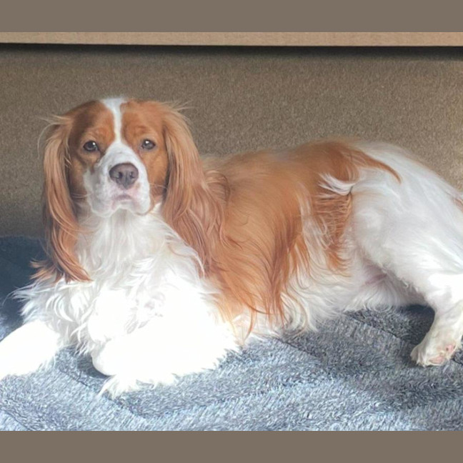 Photo of Ruby Uffelman