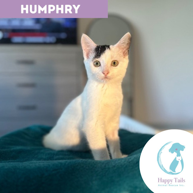 Photo of Humphrey