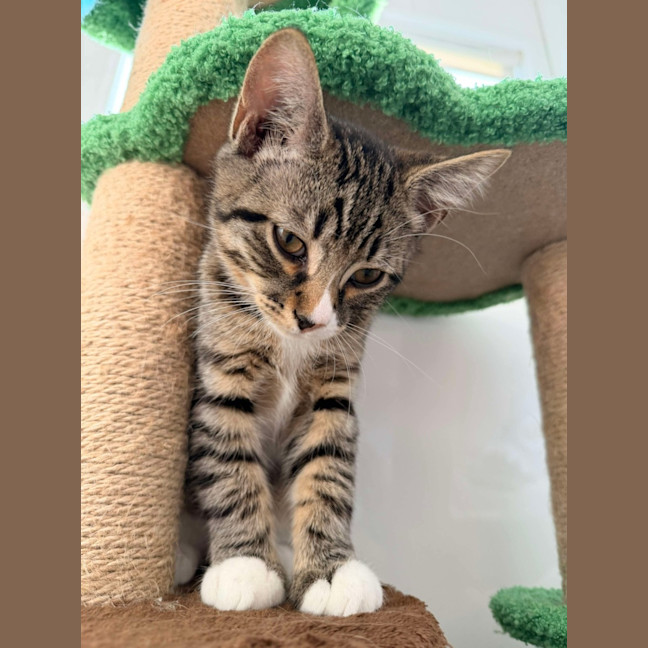 Photo of Gary & Harriet 