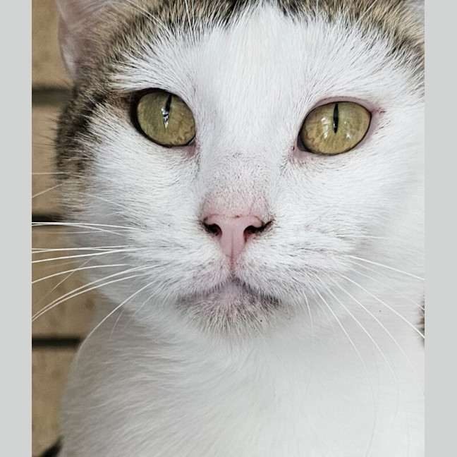 Photo of Hazel