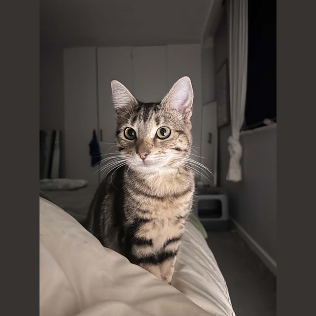 Photo of Winnie