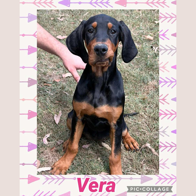Photo of Vera