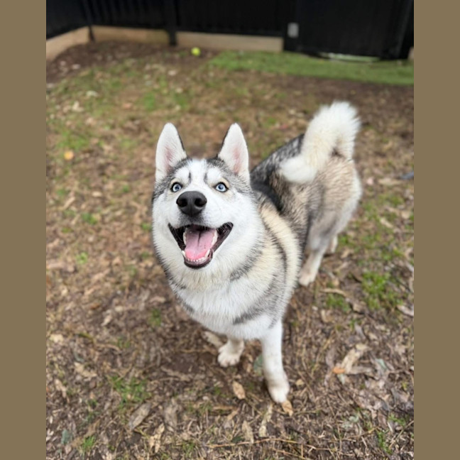 Photo of Echo