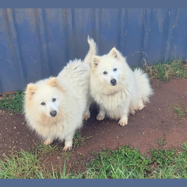 Photo of Bliss & Crystal