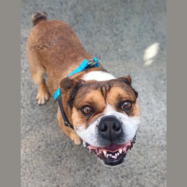 Photo of Louie