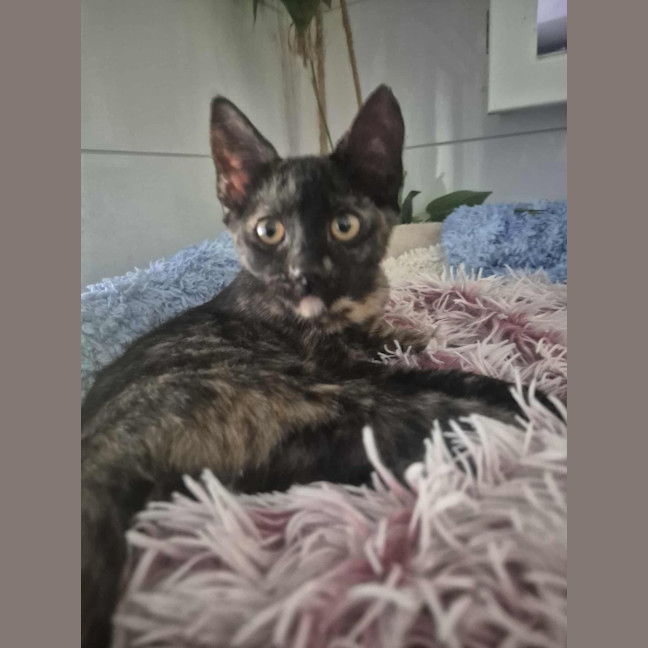 Photo of Sally