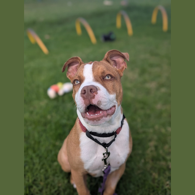 Photo of Big Stoo