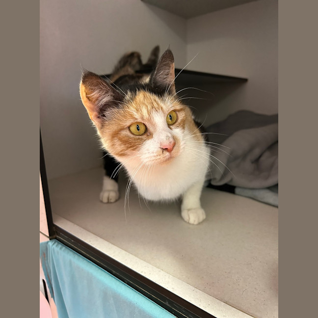 Photo of Dorothy
