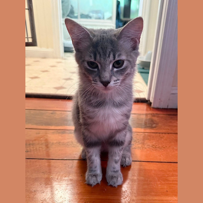 Photo of Jadzia