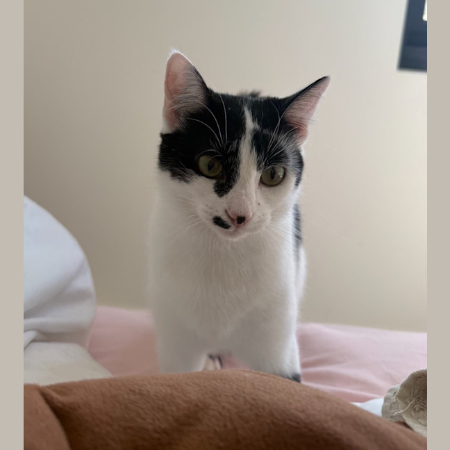 Photo of Rocket Scott