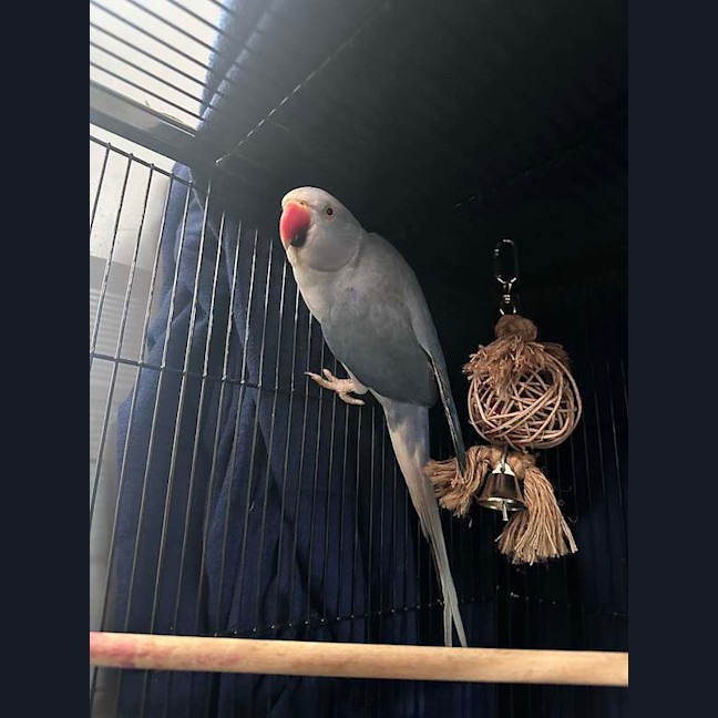 Photo of Jimbo