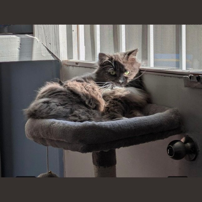 Photo of Betty 