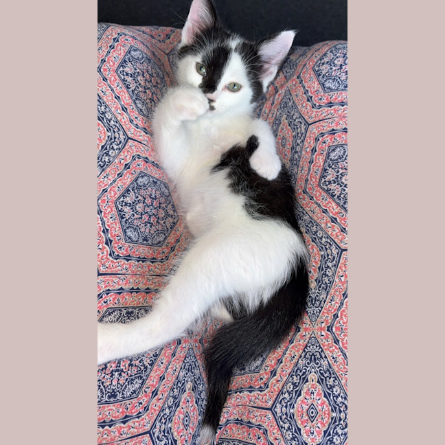 Photo of Ella 
