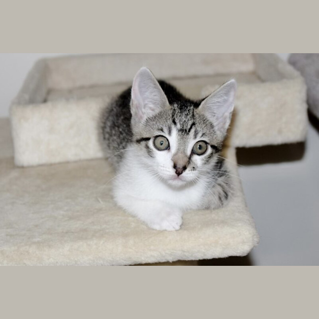 Photo of Kira