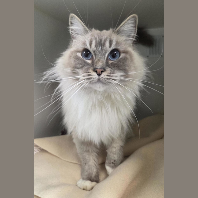 Photo of Molly