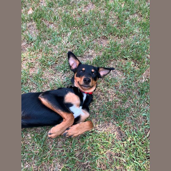 Photo of Melvin