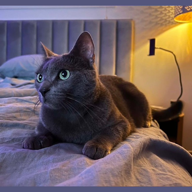 Photo of Bubbles