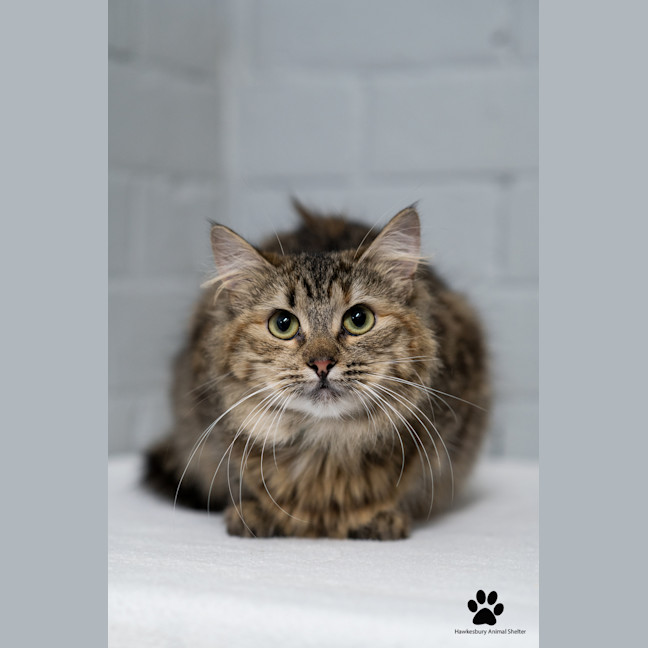 Photo of Belle