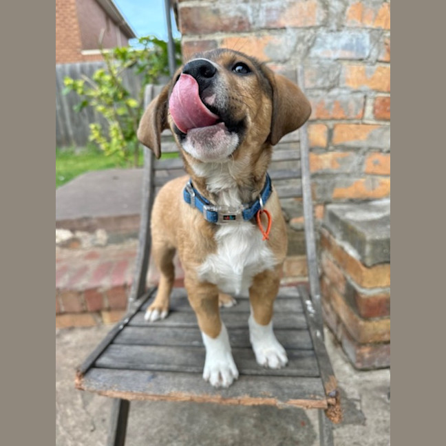 Photo of Fry