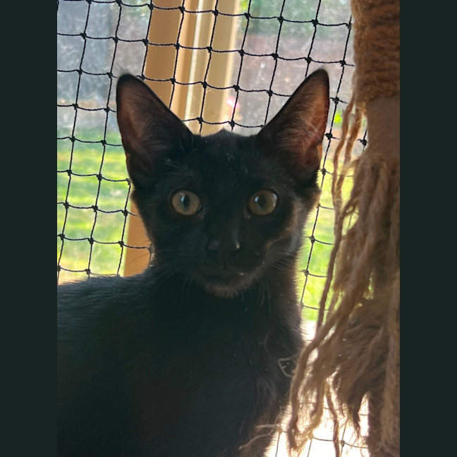 Photo of Spider Meet Me @Pe Tstock Hastings