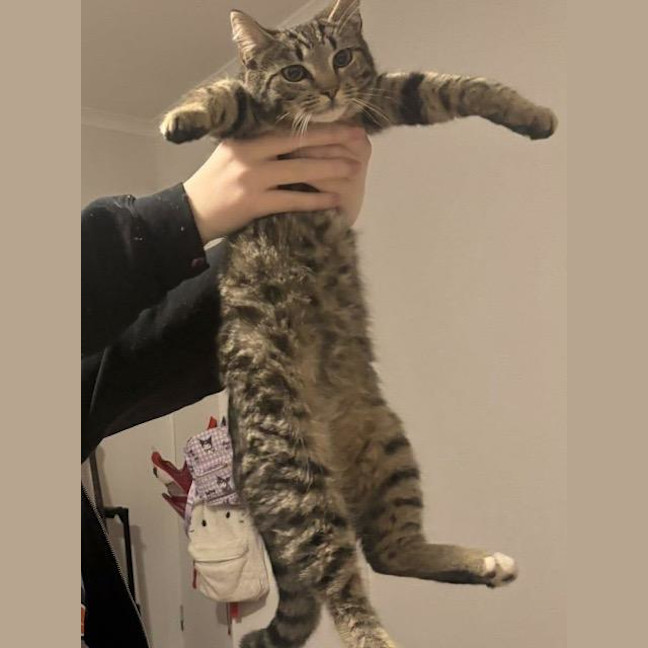 Photo of Grug