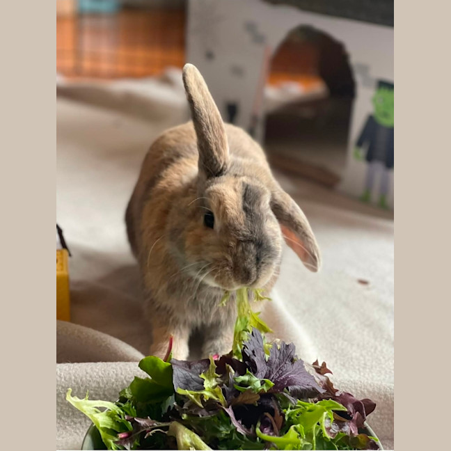 Photo of Monty