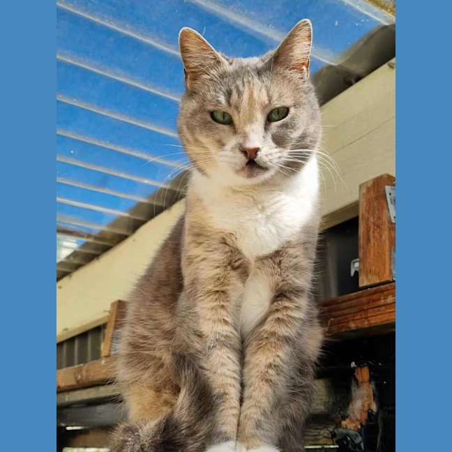 Photo of Zoe