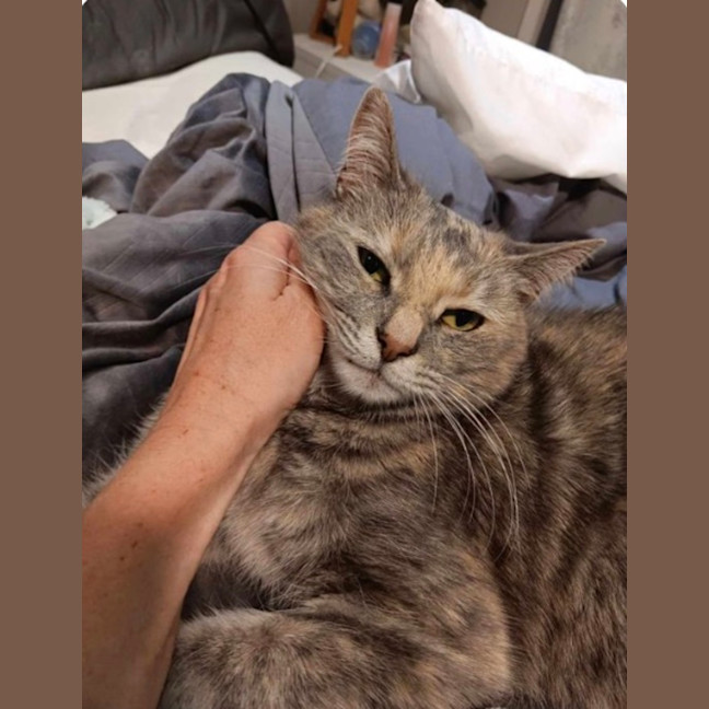 Photo of Molly