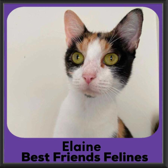 Photo of Elaine 