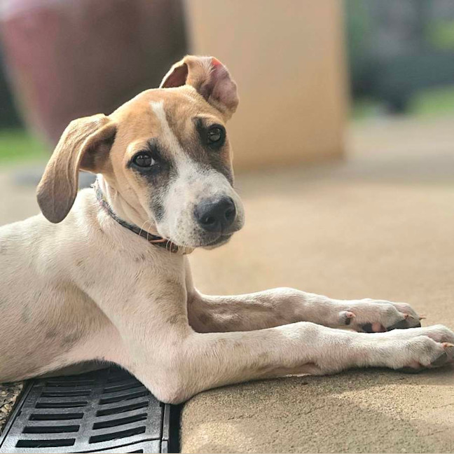 Photo of Arlee