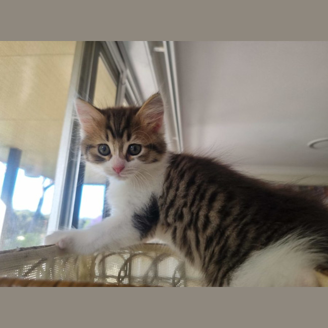Photo of Tiny