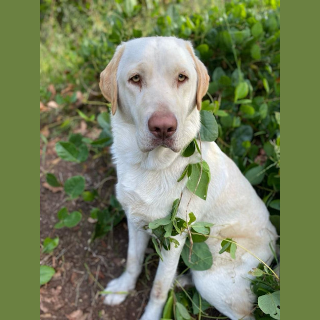 Photo of Max