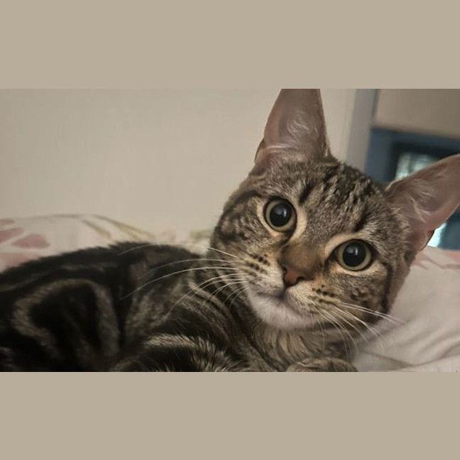 Photo of Mimi