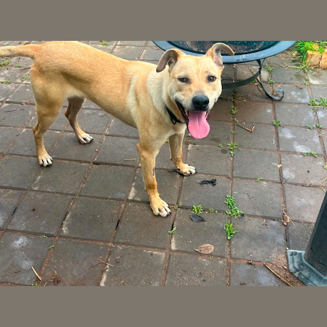 Photo of Ernie